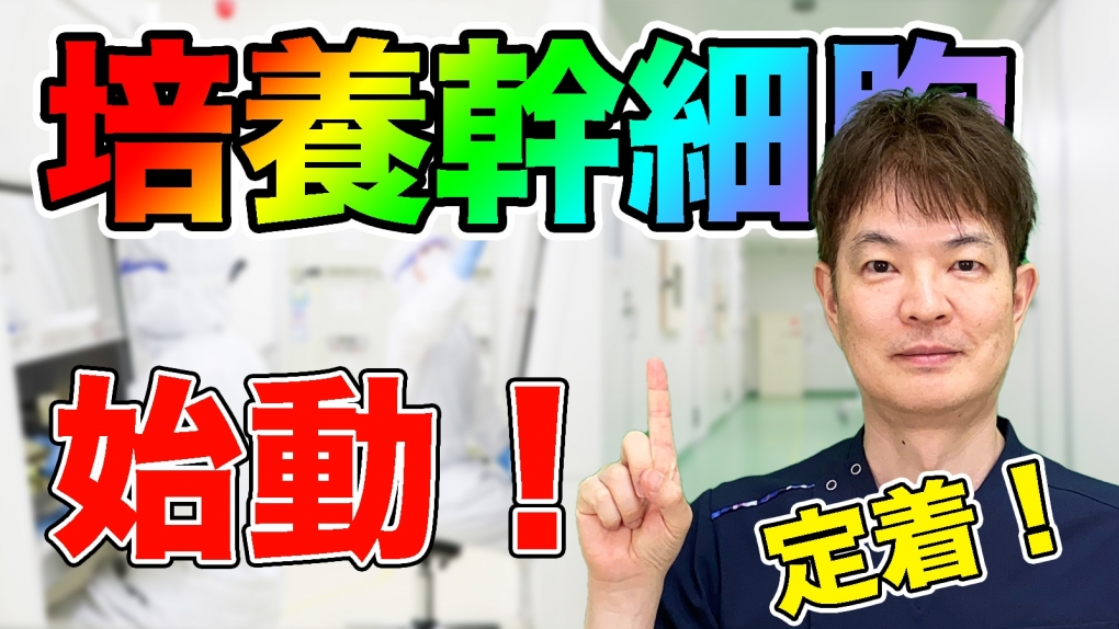 脂肪豊胸手術に朗報！　従来の10培（１億個！）の幹細胞を添加することが出来る、当院の培養幹細胞追加オプション（Sプラス）登場！