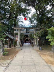 2022年も大晦日まで脂肪豊胸手術！今年も１年ありがとうございました！