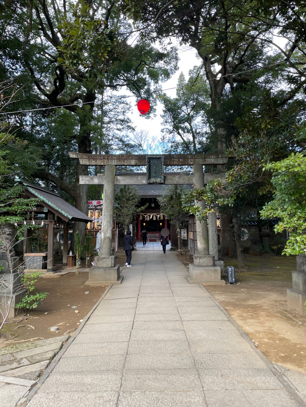 2022年も大晦日まで脂肪豊胸手術！今年も１年ありがとうございました！